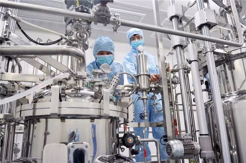 2019寧波杭州灣新區(qū)發(fā)展展望 警惕灰犀牛與黑天鵝事件對網(wǎng)絡(luò)設(shè)備領(lǐng)域的影響